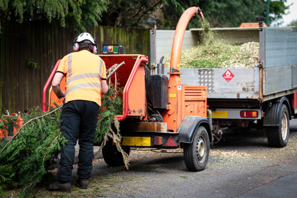 Best Emergency Tree Removal  in Valhalla, NY